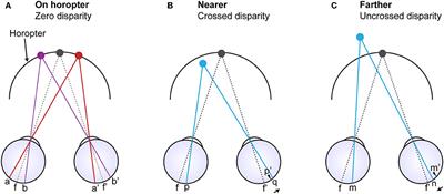 An Alternative Theory of Binocularity